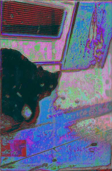 kissa,  handmade paper coloured and fotopolymer print
