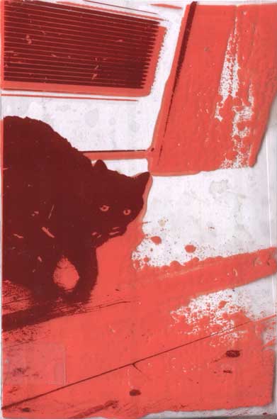 kissa, serigrafi